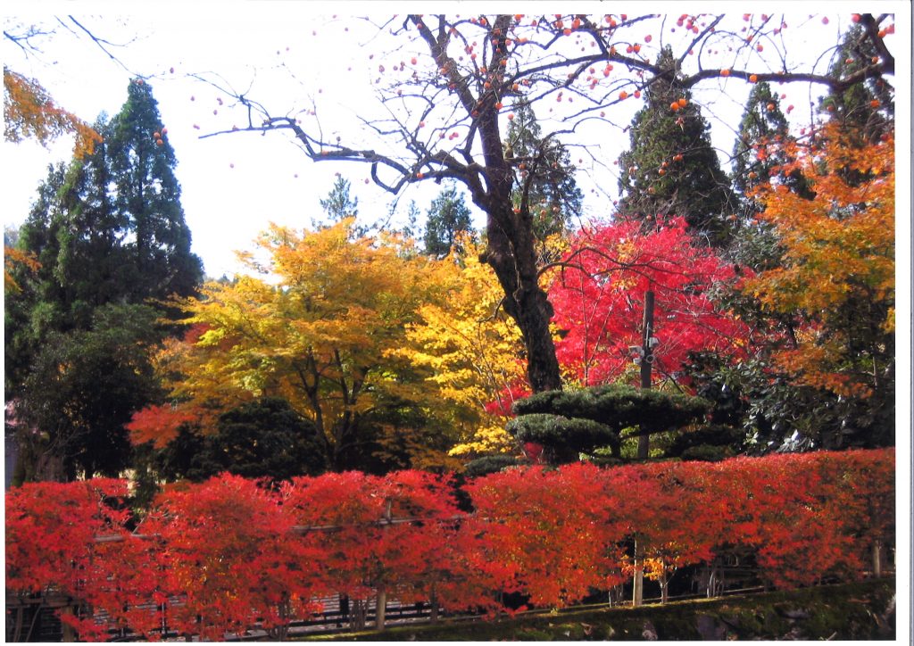 五泉市古民家不動産情報紅葉