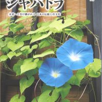 ジャパトラ７月号