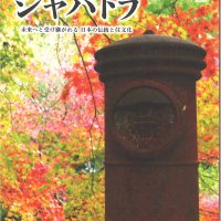 ジャパトラ11月号