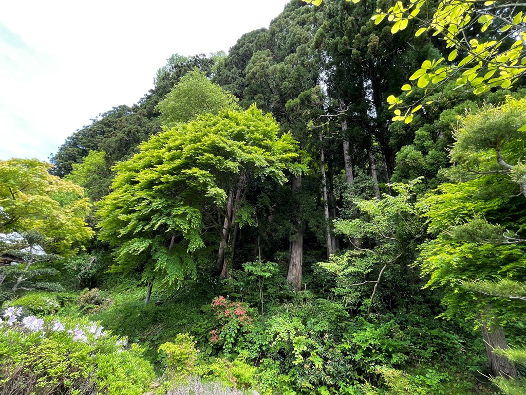 阿賀町豊実古民家売り物件