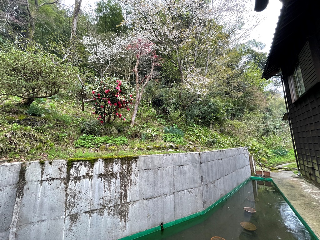 糸魚川古民家物件