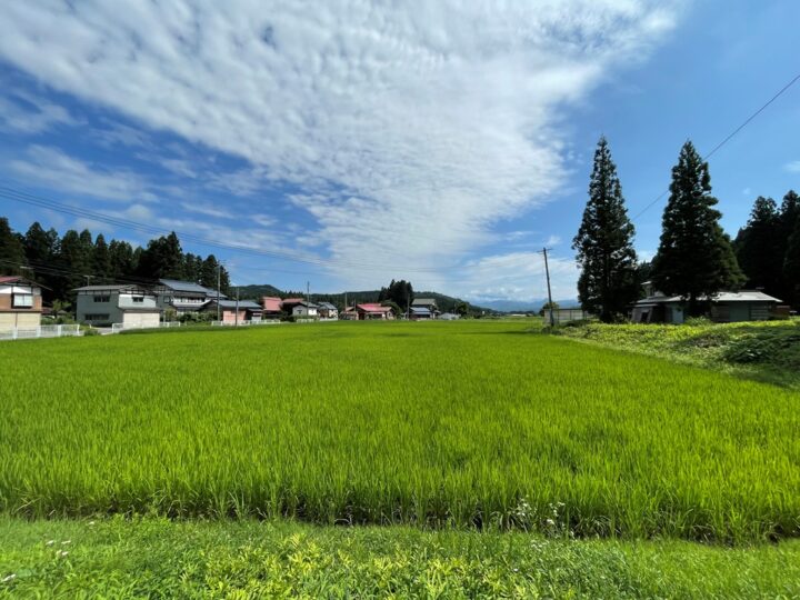 阿賀町DIYイベント床はり